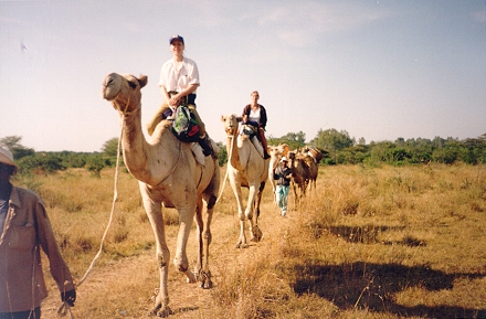 Touristy Camel Safari - great fun!