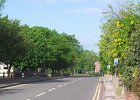 450_0004_ChilwellGreenery