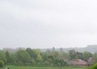 450_0005_HomeGreenery